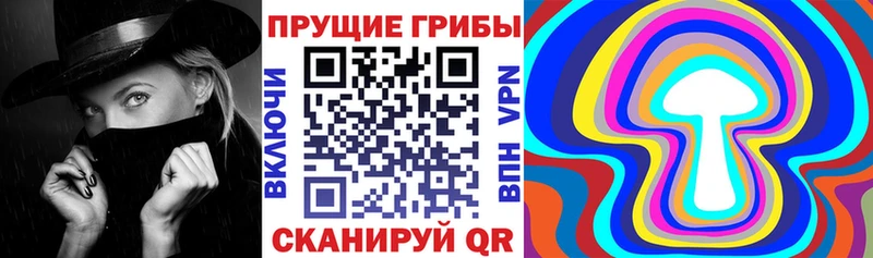 МЕГА ТОР  Пыталово  Псилоцибиновые грибы прущие грибы  где купить наркотик 